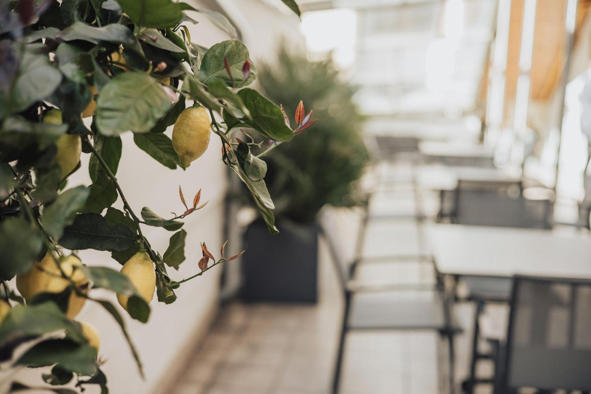 Hotel Feichter & Bistro